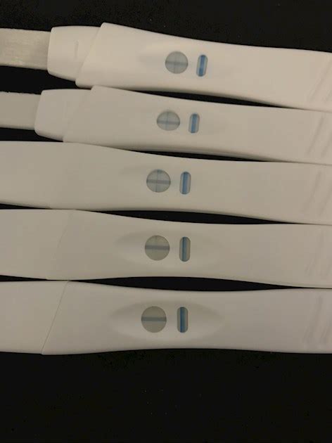 First Response Ovulation Test Faint Line Captions Time