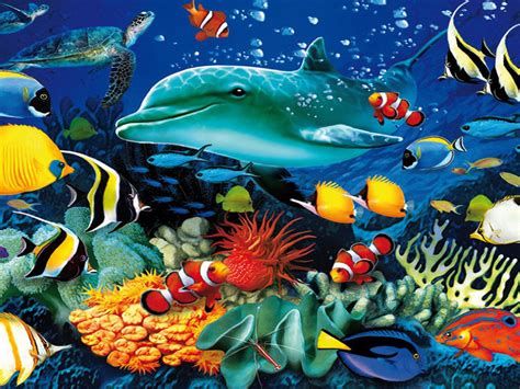 Ocean Underwater World Marine Life Dolphin Sea Turtle Colorful Tropical