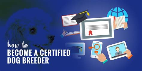 How To Become A Certified Dog Breeder Top Certifications And Real Advice