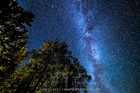 Pieces Of The Night Lake Mcdonald Glacier National Park Montana