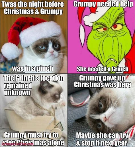 Grumpy Cat Memes Even Though Its Not Christmas Its Still Cute