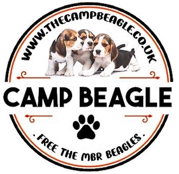Activists Liberate Beagles From Marshall Bio Resources Mbr