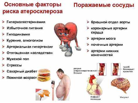 Атеросклероз диета при Атеросклероз Нижних Конечностей Диета При Заболевании — Похудение Диета Атеросклероз Нижних Конечностей Диета При Заболевании — Похудение Диета Атеросклероз диета при