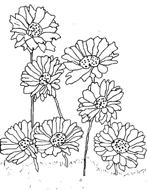 Princess daisy coloring page from princess daisy category. Planting Daisy Flower Coloring Page - Download & Print ...