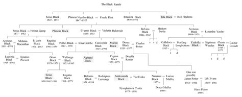 Family portrait by john williams, from harry potter and the chamber of secrets, based on the novel by j.k. Black Family Tree (With images) | Harry potter family tree ...