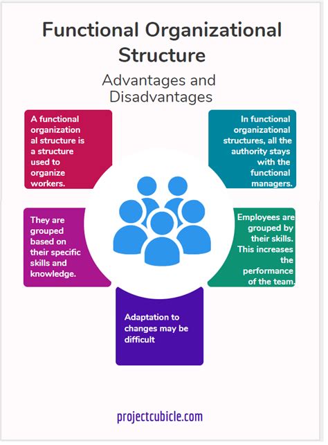Functional Organizational Structure Advantages Disadvantages