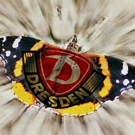 Dynamo dresden pics are great to personalize your world. Pin von Anke Schaarschmidt auf Dynamo | Dynamo dresden, Dynamo, Dresden