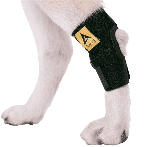 Agon Dog Canine Rear Hock Joint Brace Compression Wrap With Straps Dog