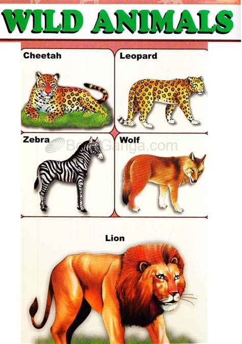 Educational Chart Wild Animals Educational Chart Wild Animals Alka