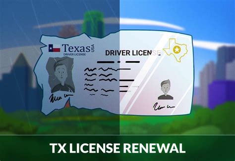 Texas Drivers License Renewal Guide Zutobi Drivers Ed
