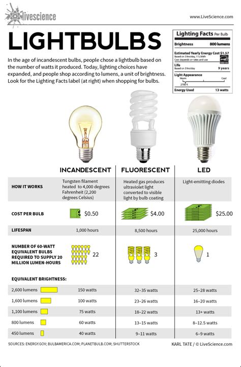 Lightbulbs Incandescent Fluorescent Led Infographic Live Science