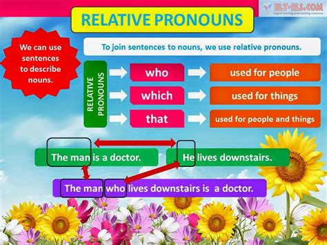 What Is A Relative Pro Noun Osereality