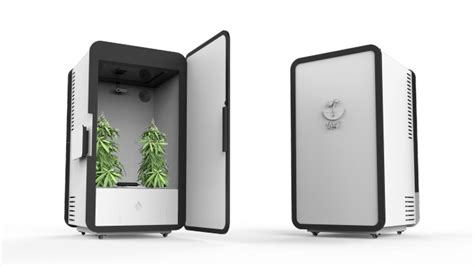 Plug Nplant Der Automatisierte Schrank Für Den Cannabis Anbau Heise Online