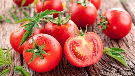 How To Grow Tasty Tomatoes Yates