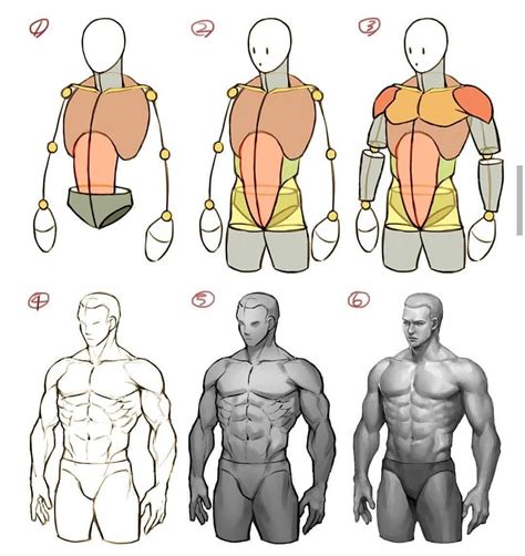male body drawing guide ~ drawing anatomy sketches male body drawings reference instagram skills