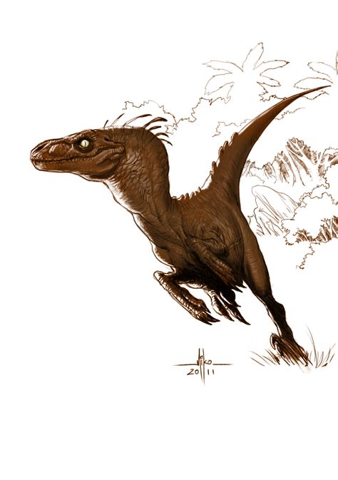 Use them in commercial designs under lifetime, perpetual & worldwide rights. Raptor Dinosaur Drawing at GetDrawings | Free download