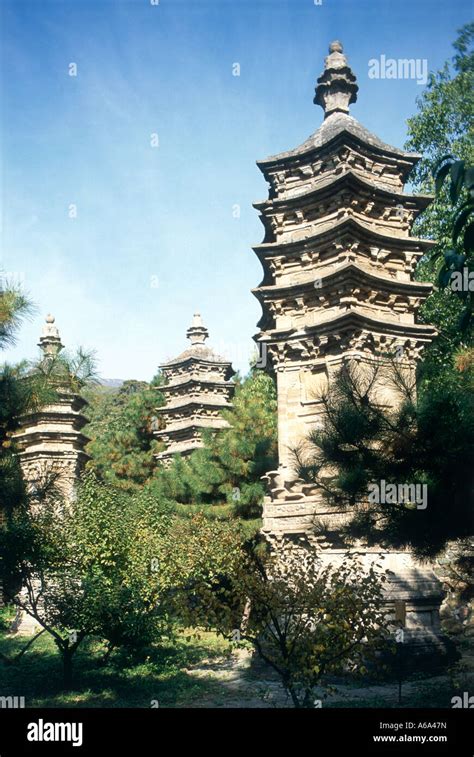 Stupa Forest Temple Beijing Hi Res Stock Photography And Images Alamy