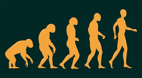What Is Darwins Theory Of Evolution