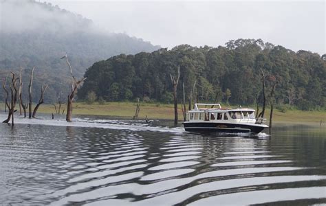 Thekkady Periyar Lake Boating 5 Star Resort In Kerala