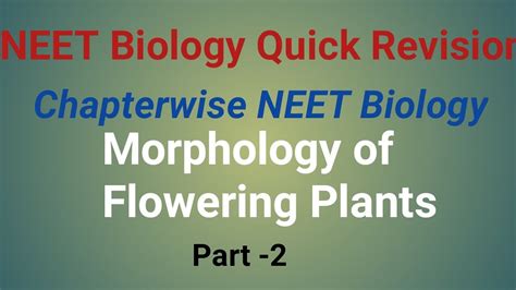 Neet Biology Quick Revision Morphology Of Flowering Plants
