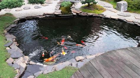 Bila kolam ikan berada di dalam ruangan, maka kamu bisa menyinarinya dengan lampu pijar sebagai pengganti sinar matahari. Cara Mudah dan Singkat Membuat Kolam Ikan Koi - Potal Ikan