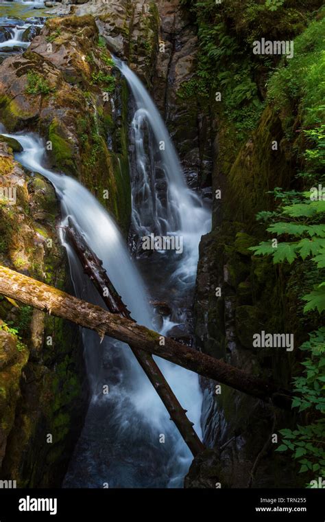 Sol Duc Falls In Olympic National Park Washington Stock Photo Alamy