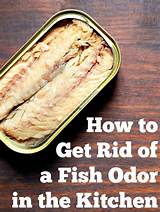 Images of How To Get Rid Of Fish Odor In Car
