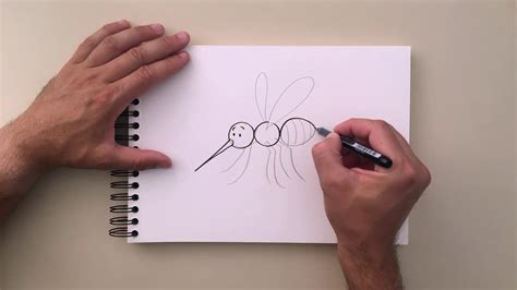 How To Draw A Mosquito Youtube