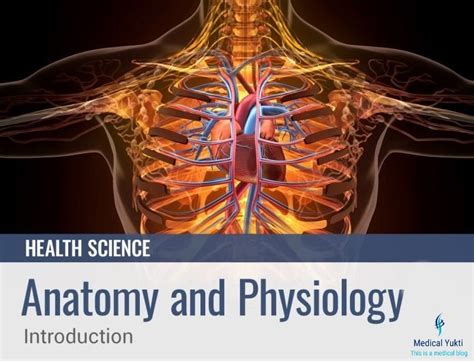 Anatomy And Physiology Introduction Medical Yukti