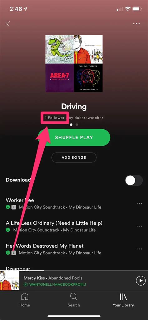 how to see who liked your playlist on spotify 2024