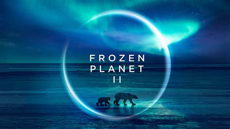 Frozen Planet Ii Filming Locations Wildlife And Behind The Scenes