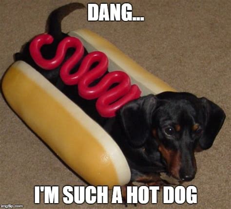 24 Dachshund Memes That Will Totally Make Your Day