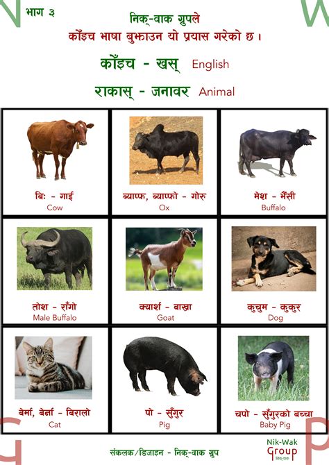 Top 111 Animals And Their Baby Names In Marathi