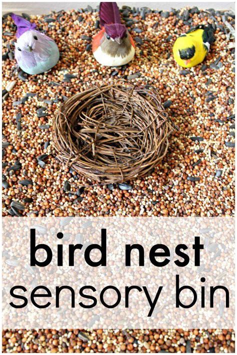 Learn About Birds And Engage In Sensory Play With This Bird Nest