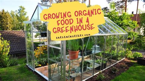 Growing Organic Food In A Greenhouse Gardens Nursery