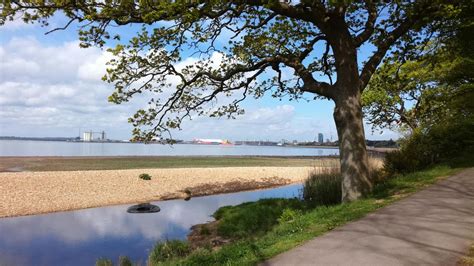 View Of Southampton Beach The Utterly Brilliant Timmy Mallett