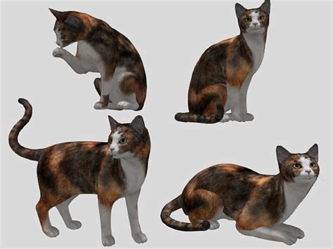 Second Life Marketplace Calico Cat Pack Mesh Full Perm