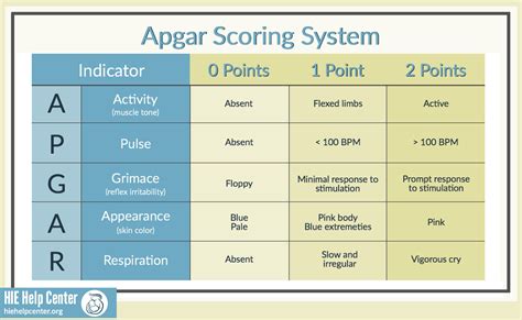 What Is A Good Apgar Score For A Baby Baby Viewer