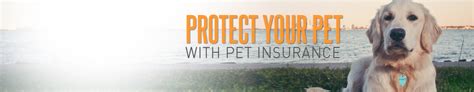 Maybe you would like to learn more about one of these? Tampa (FL) Pet Insurance Quotes - Most Insurance