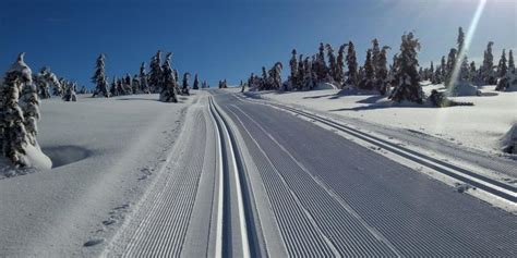Cross Country Skiing In Nordseter Lillehammer Fjellstue Og Hytteutleie