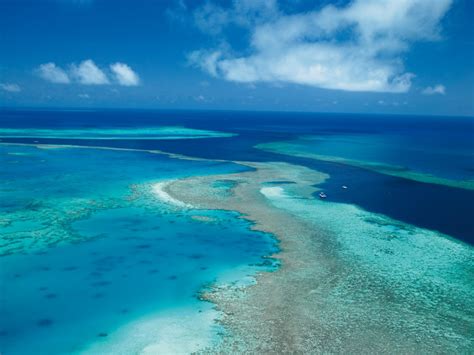 Sustaining The Great Barrier Reef Swain Destinations Travel Blog