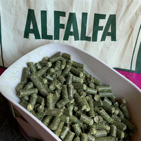 Alfalfa Hay Pellets For Goats Chamcook Schoolhouse