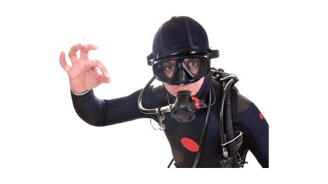 Diver Png Images Transparent Background Png Play