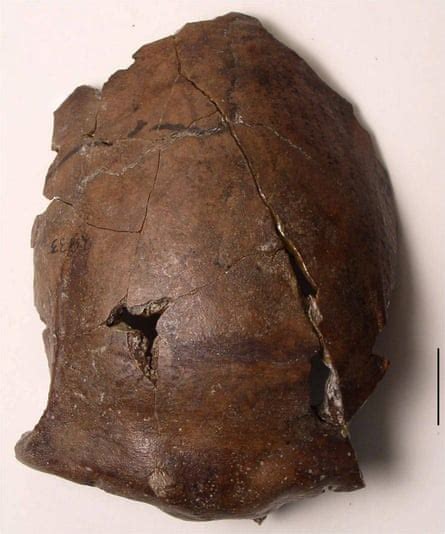 Skull Found In Papua New Guinea Was Worlds Oldest Known Tsunami