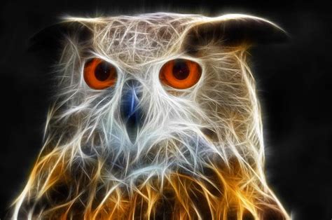 Fractal Owl Art Print For Sale Glowing Bird Full Of Energy