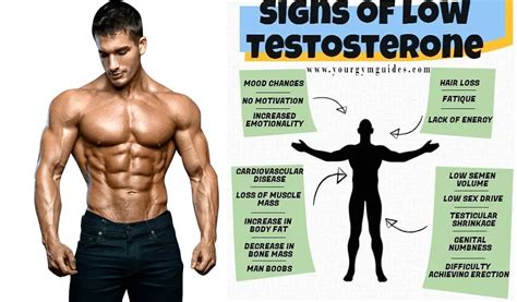 12 Sign Of Low Testosterone In Men Increasing Testerone Naturally Faster