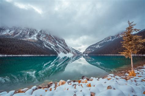Lake Louise Canada 8k Hd Nature 4k Wallpapers Images
