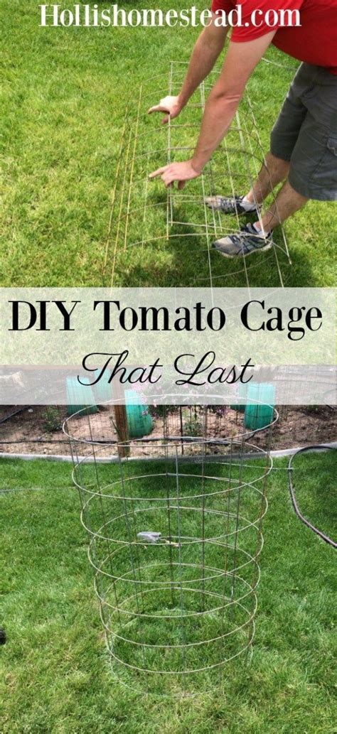 Diy Tomato Cage That Lasts Tomato Cages Tomato Cage Diy Vertical