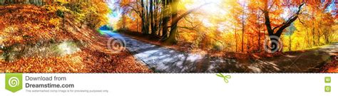 Panoramic Autumn Landscape With Country Road In Orange Tone Stock Photo