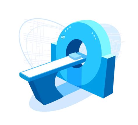 Ct Scan Procedure Mehrotra Diagnostics